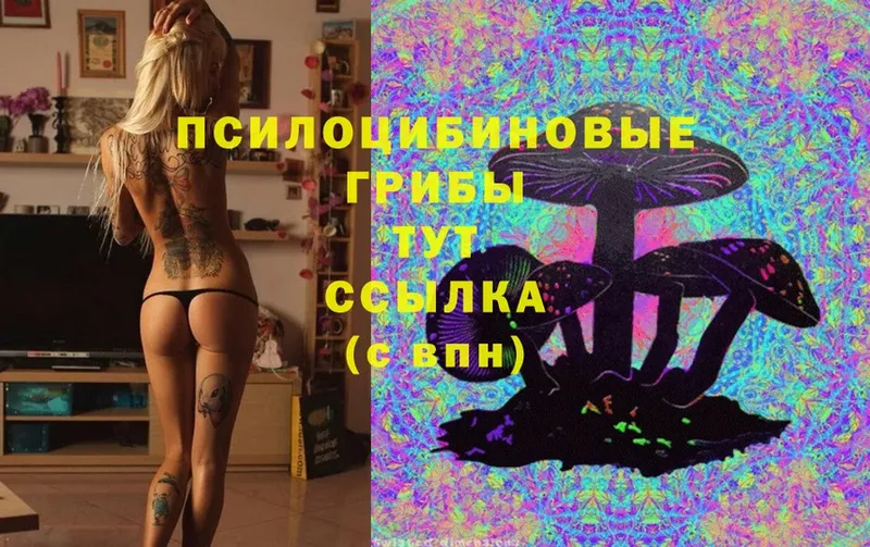 Псилоцибиновые грибы MAGIC MUSHROOMS  Лебедянь 